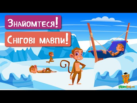 🍀 Дива природи. Явища навколо нас. Снігові макаки 🌏