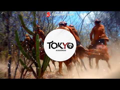 Tarcísio do Acordeon - PAPAI É EMPRESÁRIO