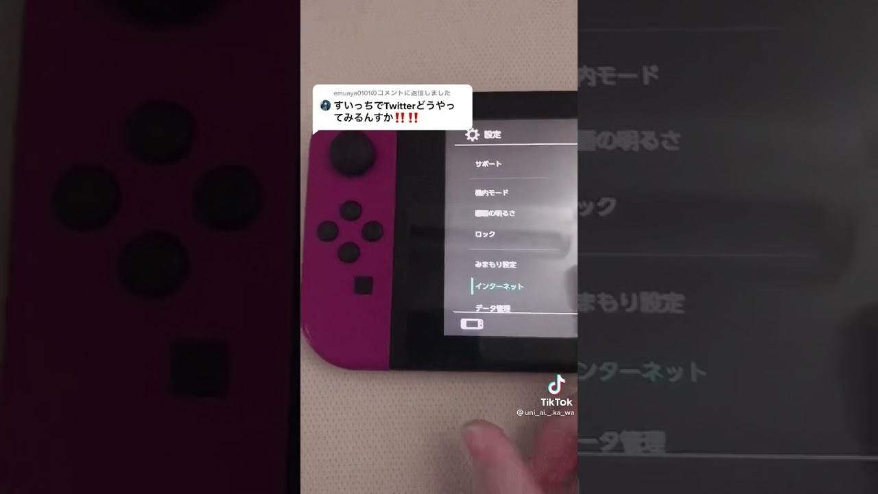 Switch Twitter やり方 裏技 ヤバい インターネット スプラトゥーン マリオカート フォートナイト スマブラ