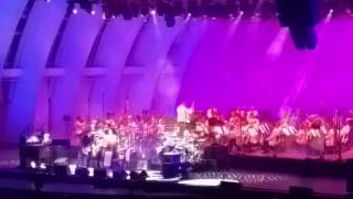 Ben Harper at the Hollywood Bowl 2016