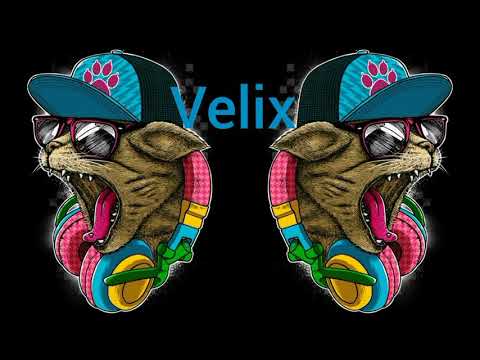 Velix- SQUAD