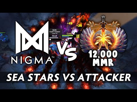 Nigma.Attacker NEW BEST HERO vs SEA STARS — Perfect Razes SF