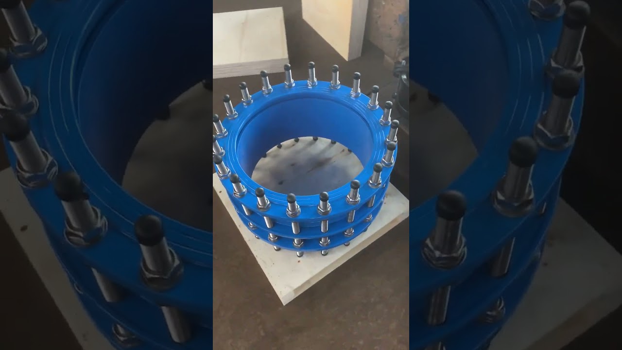 restrained dismantling joint