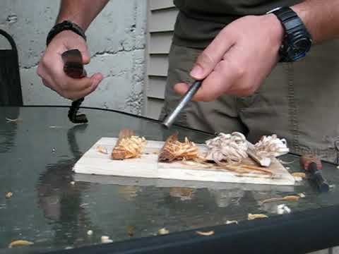 fire steel and fat wood