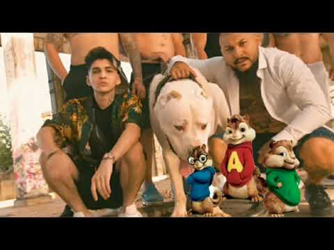 Veveritele - REGII ROMANIEI - abi feat. Dani Mocanu