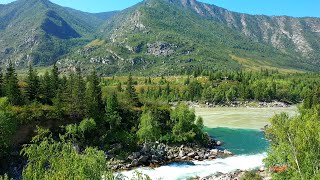 Рыбацкий форум сосновый бор