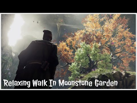Hogwarts Legacy | Moonstone Garden Relaxing Walk (No Commentary/Hud)