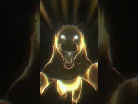 Vení a disfrutar de una experiencia inolvidable en Pousada Yaguarete📍Carmelo Peralta