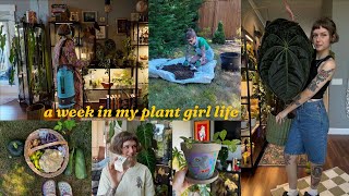 a special package, cozy watering evening, & a summer garden harvest 🧺🪴☁️