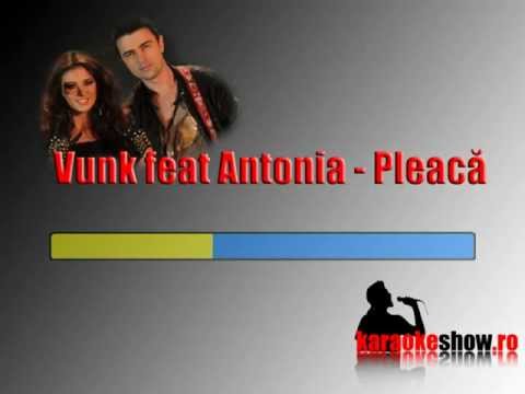 Vunk feat Antonia - Pleaca (karaoke).mp4