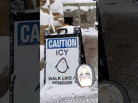 Yippeee It’s Winter!!!