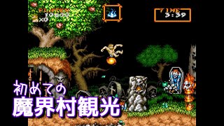 【超魔界村】スイッチ版 人生で初めて魔界村行ってきたんだけど何これムズすぎる【女性実況】