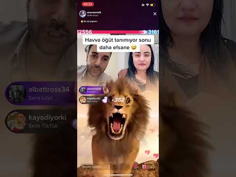 Onur Sermik VS Havva Öğüt