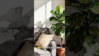 ✨ Las pequeñas cosas que hacen que una casa parezca de lujo