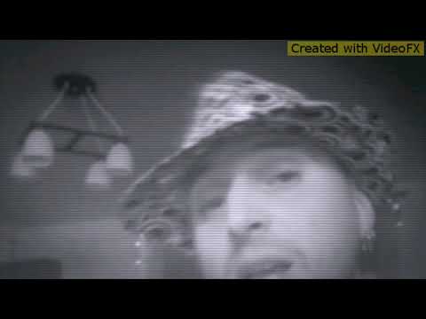 B.M.D. (Bad Mad Dogs) - KA4ESTVO  (Pleven Smoke Crew)