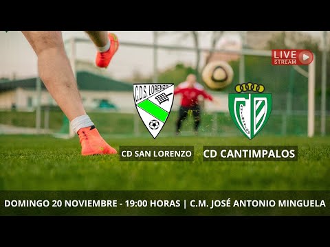 J10 1ª Provincial. CD San Lorenzo - CD Cantimpalos