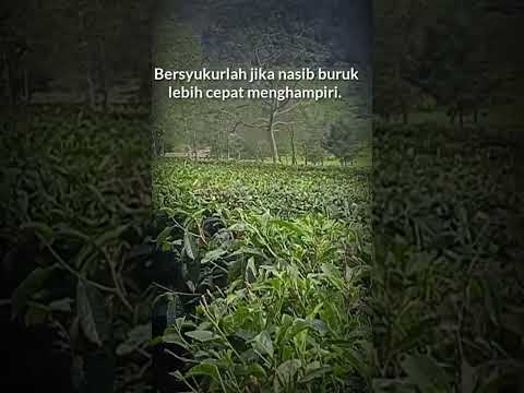 Jangan Salahkan Hidup #videoshort