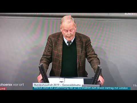 Alexander Gauland zum #UNMigrationspakt 21.11.2018