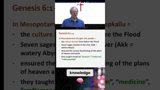 Apkallu: Ancient Mesopotamian Heroes and Civilizers #shorts
