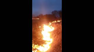 Scott County Iowa Controlled Burn