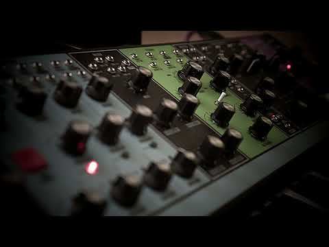 Moog Matriarch Vs Arturia Polybrute