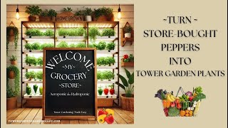Welcome to My GROWcery Store ~| Turn Store-Bought Peppers into Tower Garden Plants #towergarden