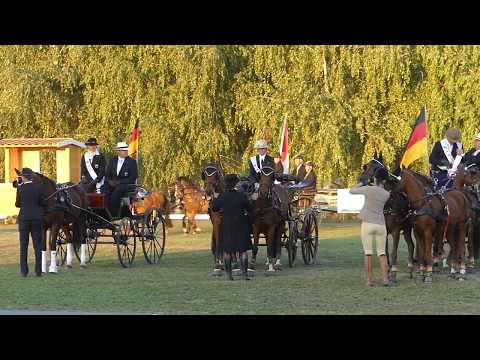 3 Intro Champions Individual with carriages,FEI CH P1,2,4 Kisber Ászár 29
