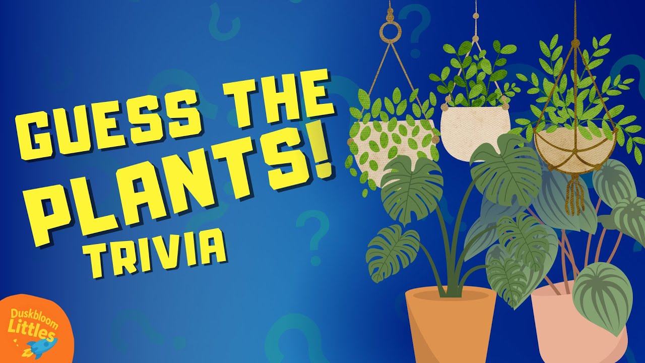 Can You Guess the Plants?