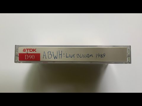 Anderson Bruford Wakeman Howe: Live Blossom 1989