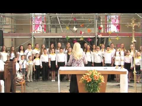 Kauno Švč. Jėzaus Širdies parapijos jaunimo choras "Angelo Sparnai" - Pakilk ir šviesk!