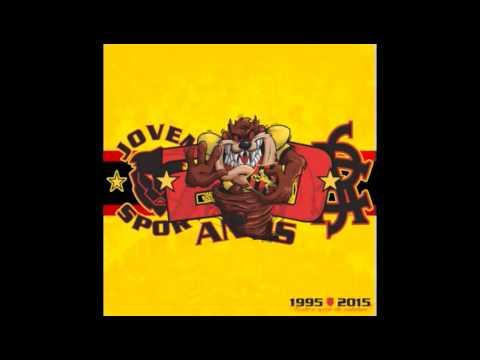 TORCIDA JOVEM DO SPORT 20 ANOS DE MORAL ( 2016 )