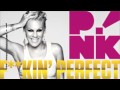 Pink - Fuckin' Perfect + LYRICS (Official Male ...