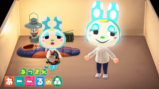 【あつ森】えっ・・・【あつまれどうぶつの森】