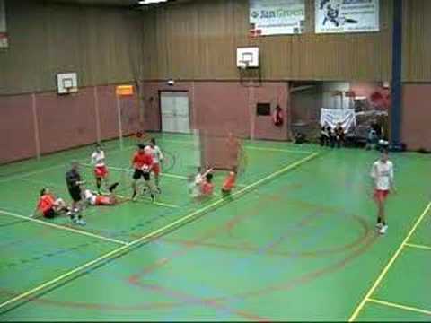 Weidevogels 1 - Swift 1