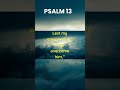 Psalm 13 KJV