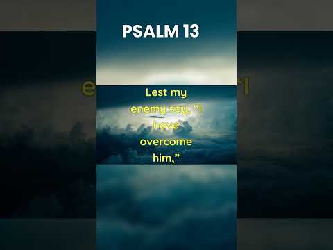 Witness21  2022 11 27