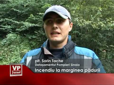 Incendiu la marginea pădurii