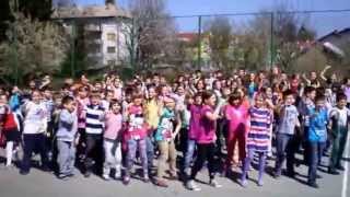 preview picture of video 'Tigrov ples učenika razredne nastave (2013)'