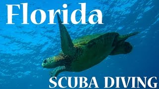 Florida Scuba Diving - Jupiter Drift Dive  - GoPro Hero3 & Hero4