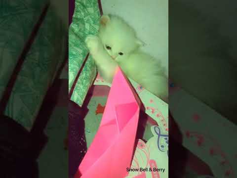 You gave me Goose Bumps Every Day ❤️😍😘