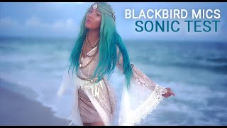 Video thumbnail for Putting the Blackbird Mics Pack to the Test! by SlateDigitalTV