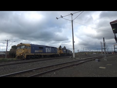 8161, XR559, G523 7901V Container At North Geelong