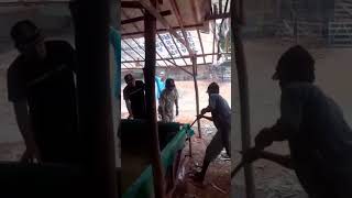 Download lagu pembongkaran sabung ayam di karawang,, mp3