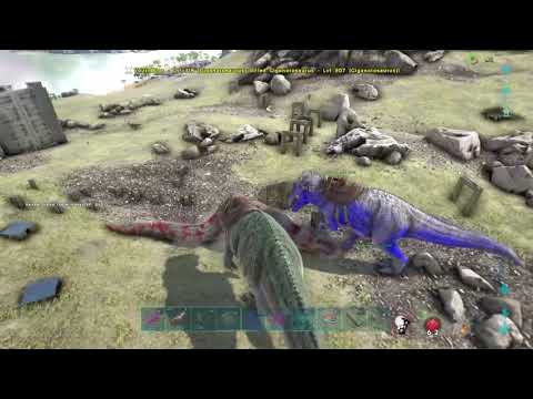 Ark Ligma PvP Cluster Highlights