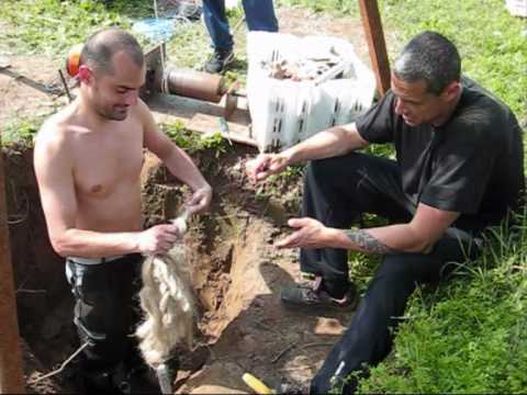 Esercizio per lartrosi del ginocchio Pomata di mal di schiena a veleno di serpente