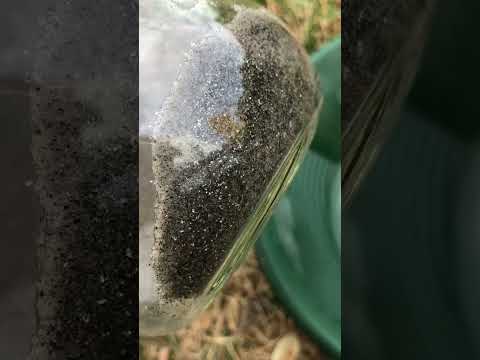 My leftovers still huge gold content PGM 