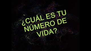 Conoce tu futuro con tu fecha de nacimiento – Cuál es tu número de vida fecha de nacimiento – dinero