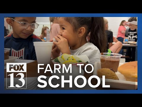 Farm to School: Revolutionizing the Way We Eat | Vibepedia