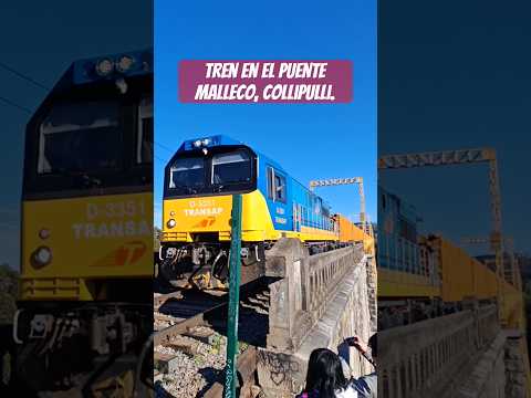 Tren Puente Malleco, Collipulli. #viral #paranormal #foryou #reels #trending #shorts #viralvideo