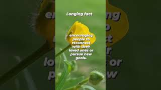 longing fact #shortvideo